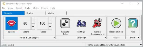 ScreenReader