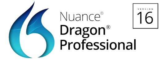 Dragon Professional 16